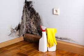 Best Mold Prevention Services  in Colonia, NJ